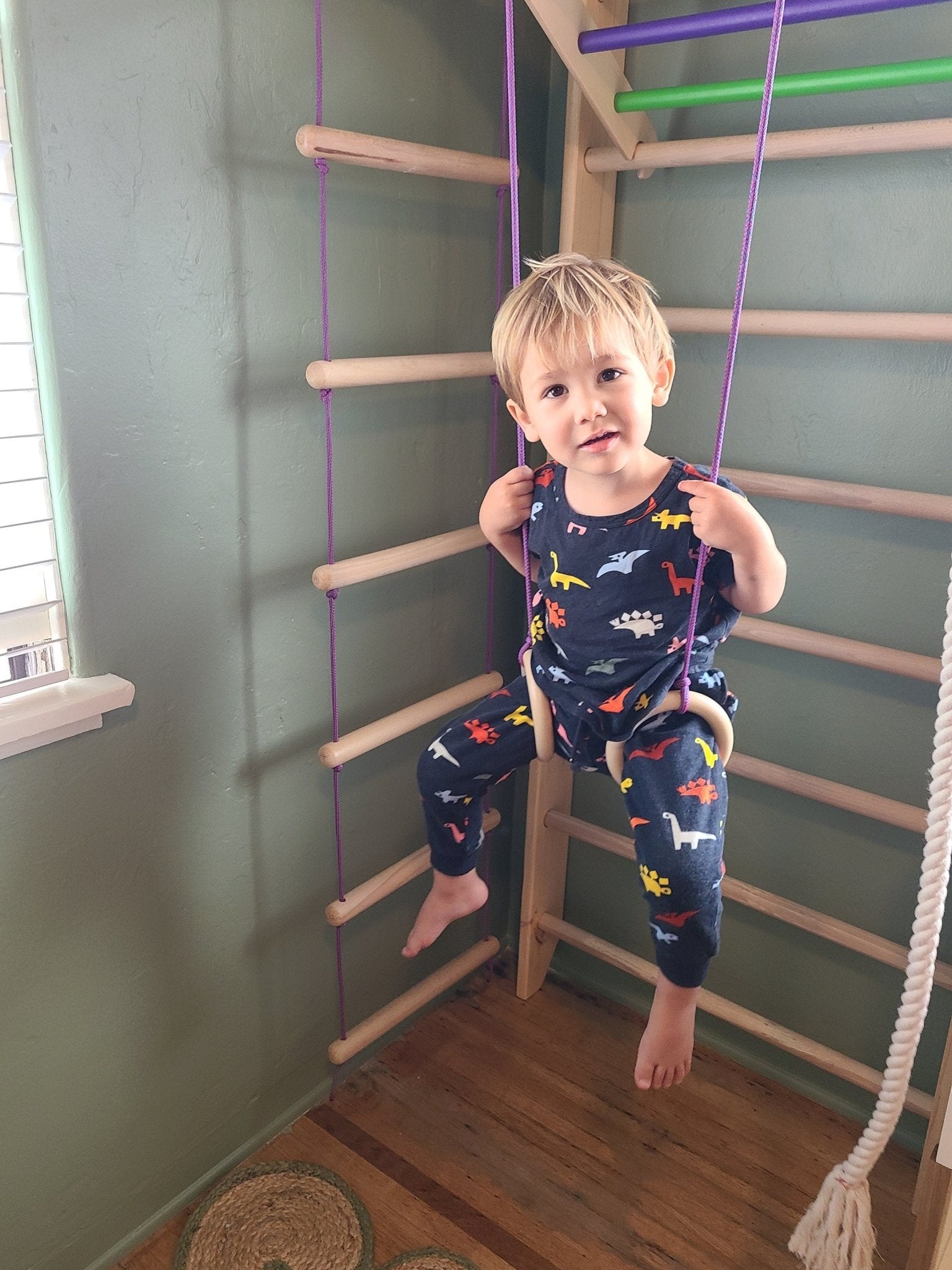 3in1 Set - Swedish Ladder, Climbing Playground, Gym - CleverWood