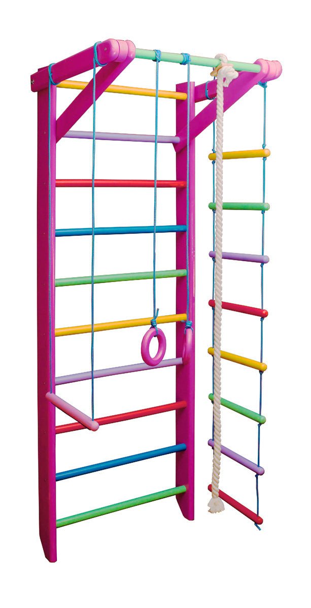 Colored Swedish ladder for kids and adults with Rope attachments - CleverWood