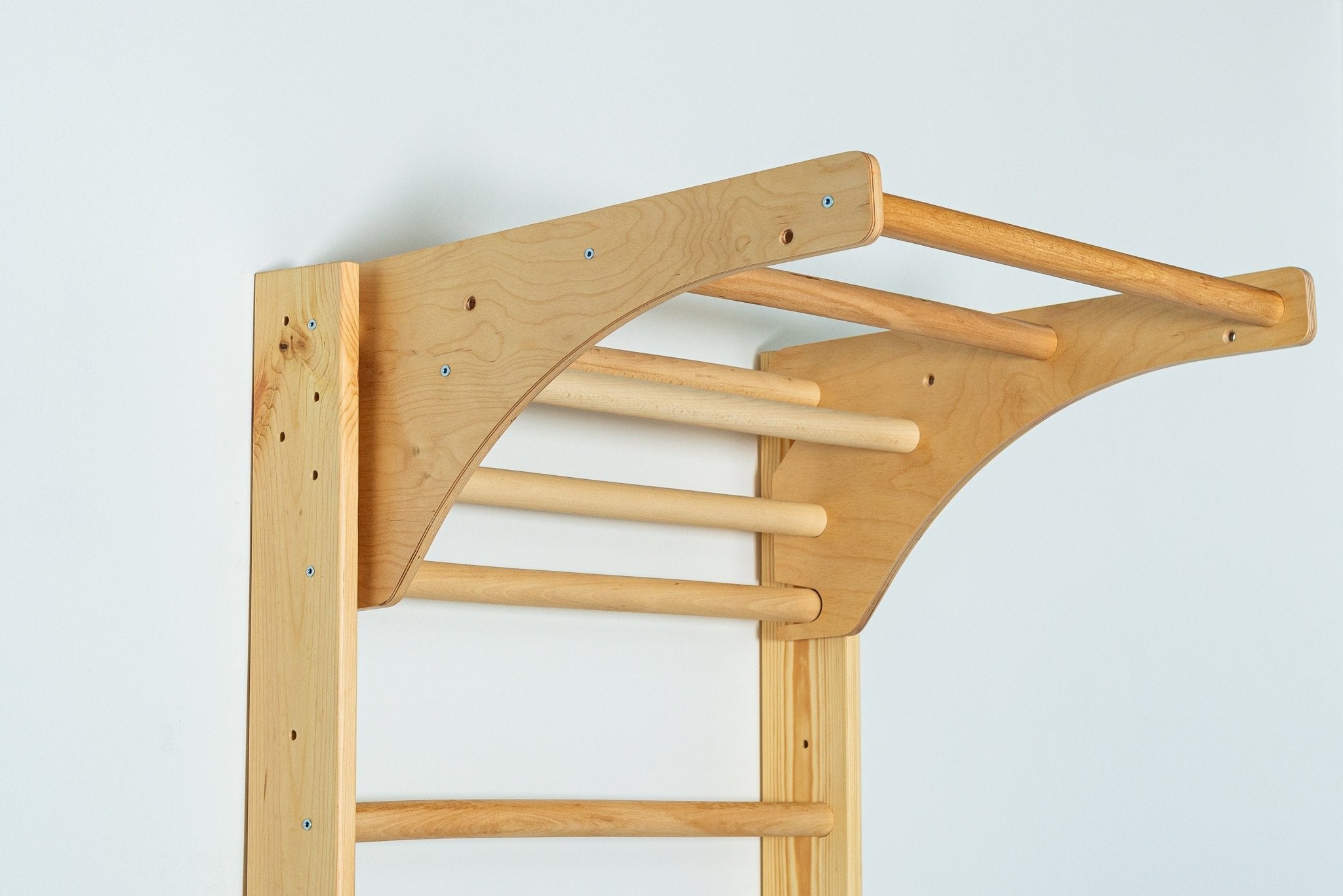 Indoor Gym Set with climbing net, pull up bar and rope attachments - CleverWood