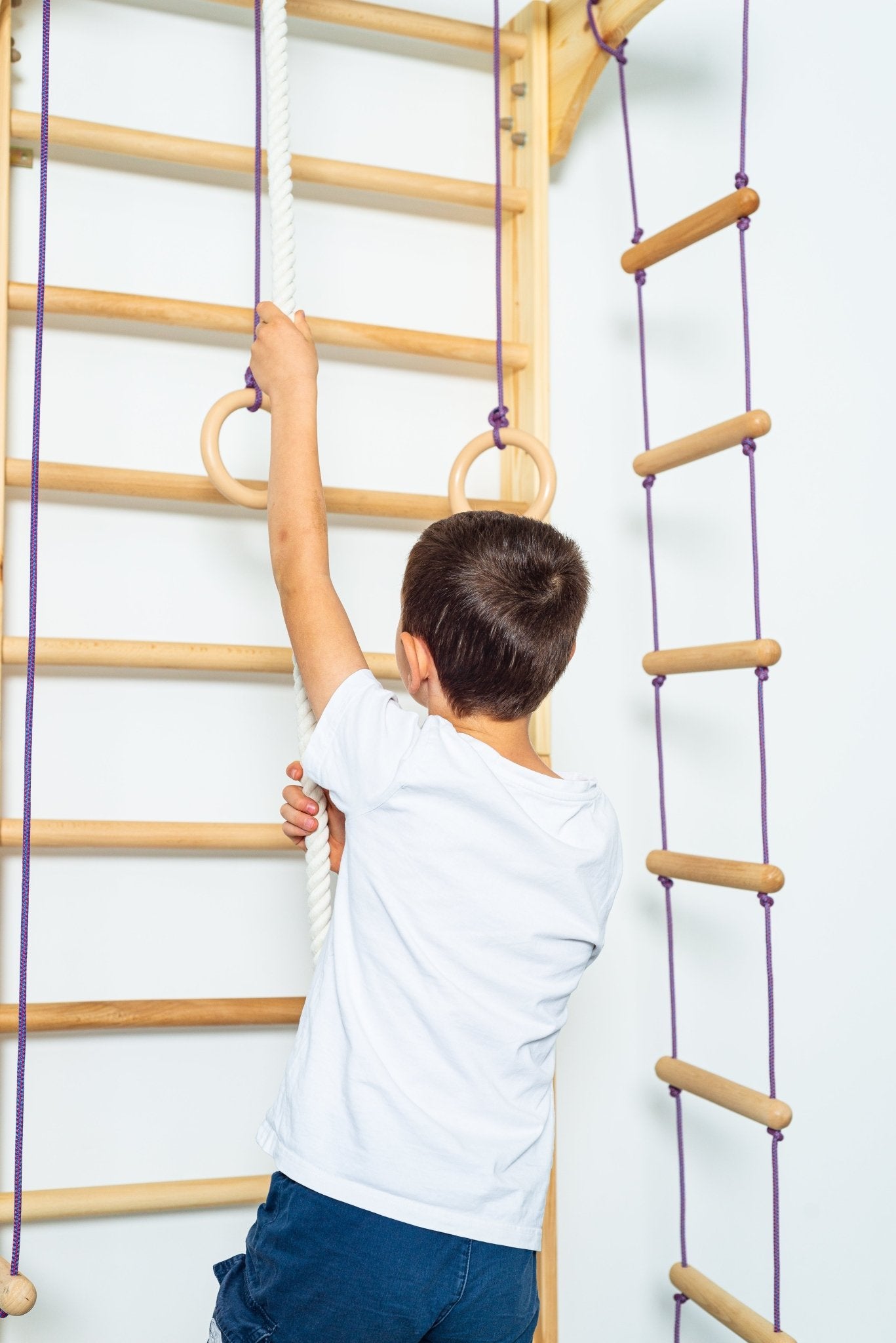 Sport Ladder with Fixed Pull - up bar and Rope Swing Attachments for Home - CleverWood