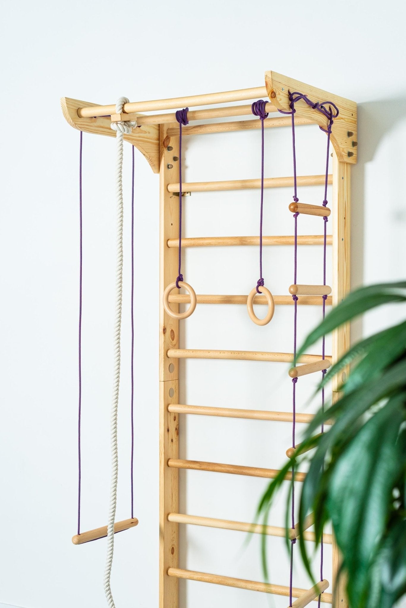 Sport Ladder with Fixed Pull - up bar and Rope Swing Attachments for Home - CleverWood