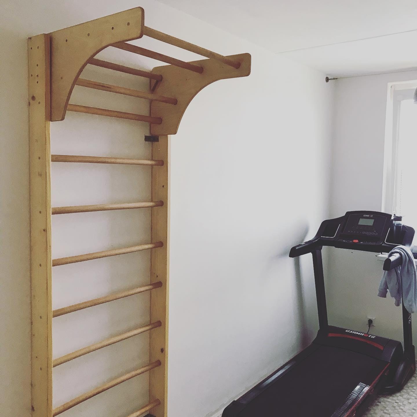 Swedish Sport Ladder with Adjustable Pull - up bar for Home exercises - Wall Stall bars for gymnastic - CleverWood