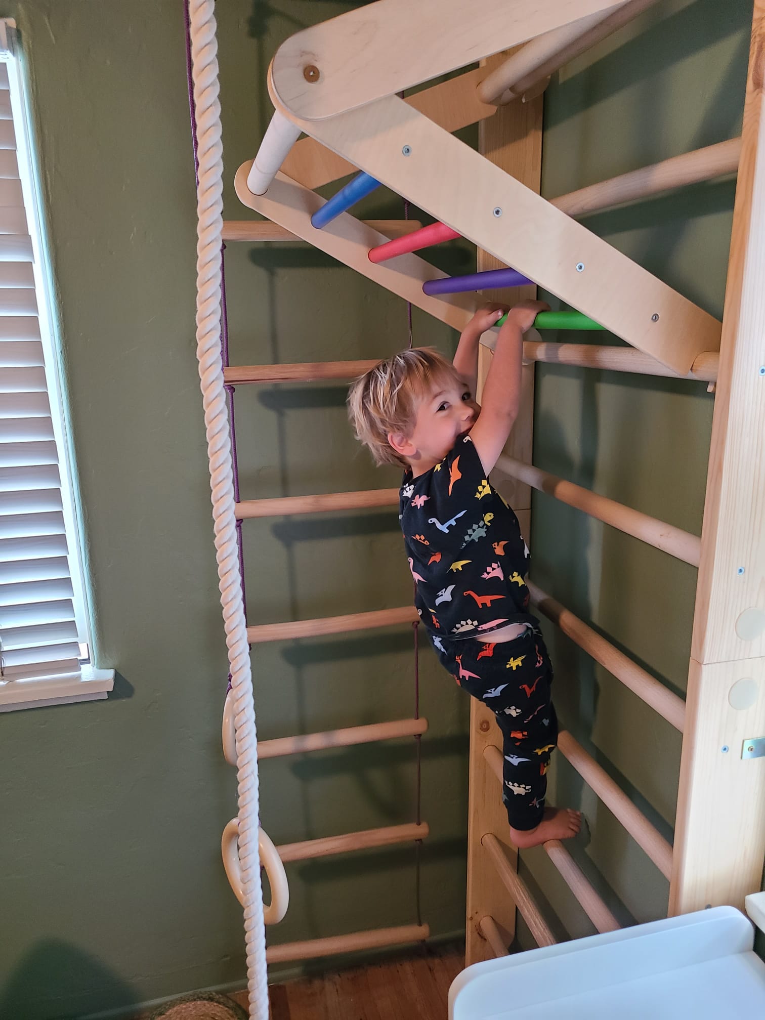 Why a Wooden Sports Ladder with Pull-Up Bars and Rope Attachments is Perfect for Kids and Adults - CleverWood