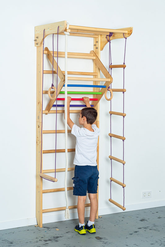 3in1 Set - Swedish Ladder, Climbing Playground, Gym