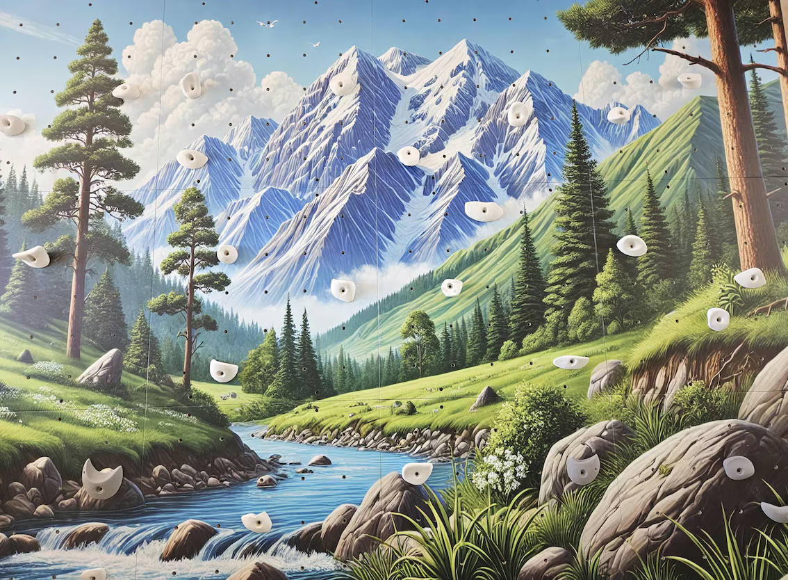 Climbing Wall Panels – Set of 3, 6 or 9 Durable, Interactive Sport Panels for Strength and Coordination - CleverWood