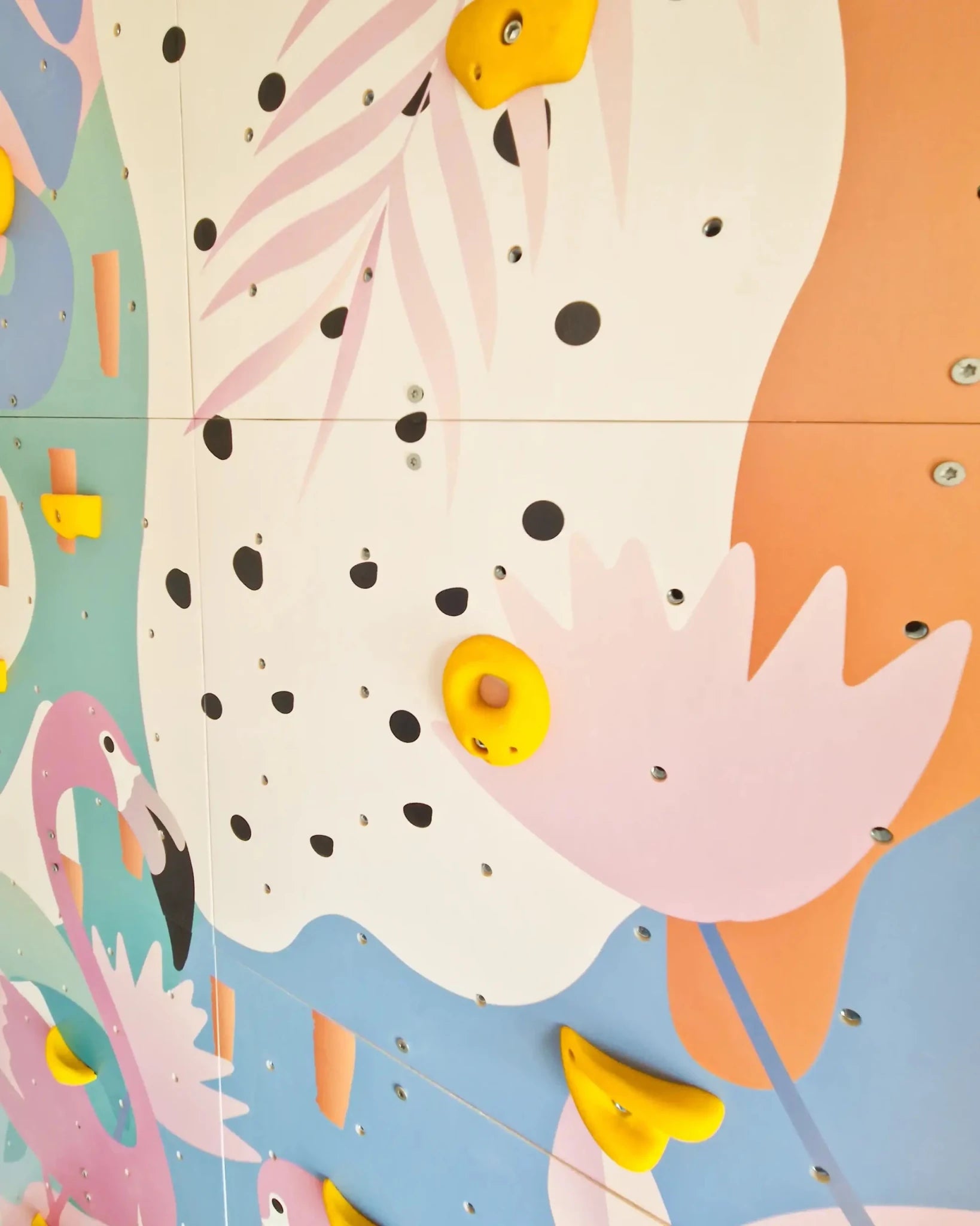 Climbing Wall Panels – Set of 3, 6 or 9 Durable, Interactive Sport Panels for Strength and Coordination - CleverWood