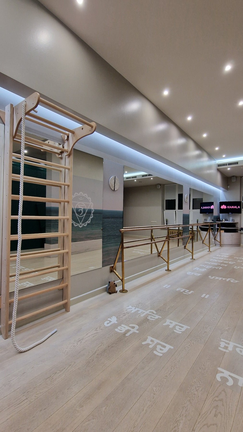 Custom Wooden sport ladder - CleverWood