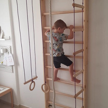 3in1 Set - Swedish Ladder, Climbing Playground, Gym