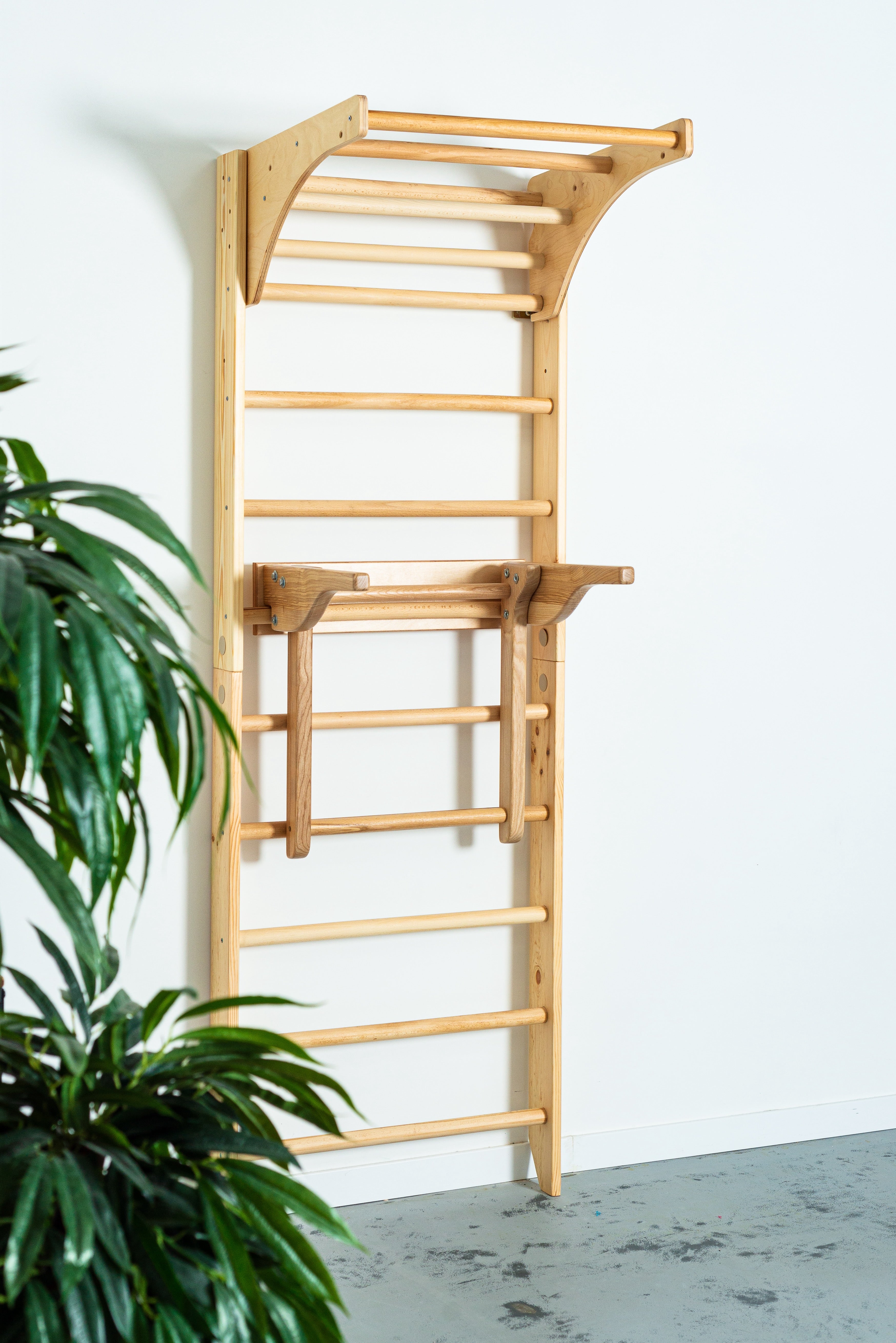 Swedish Ladder with Dip Bars and Pull Up Bar for chin up and Strength Exercises