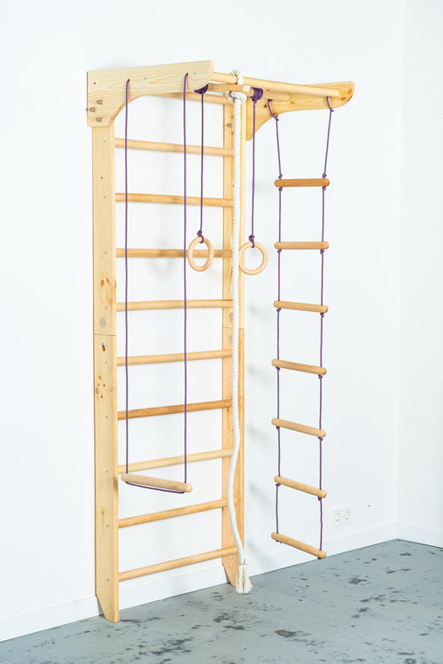 Sport Ladder with Fixed Pull-up bar and Rope Attachments