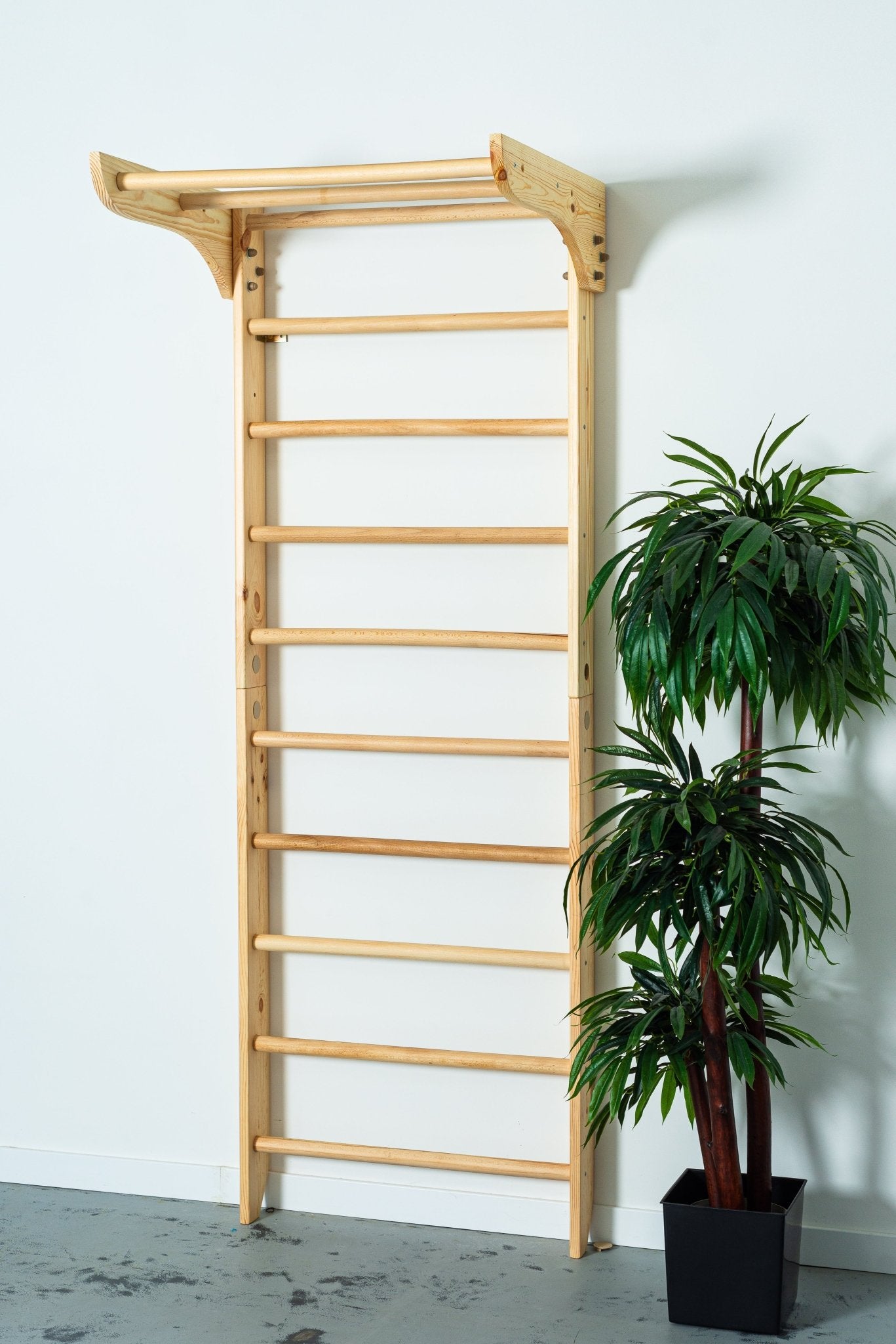Swedish Ladder for Home Exercises with Fixed Pull Up Bar - CleverWood