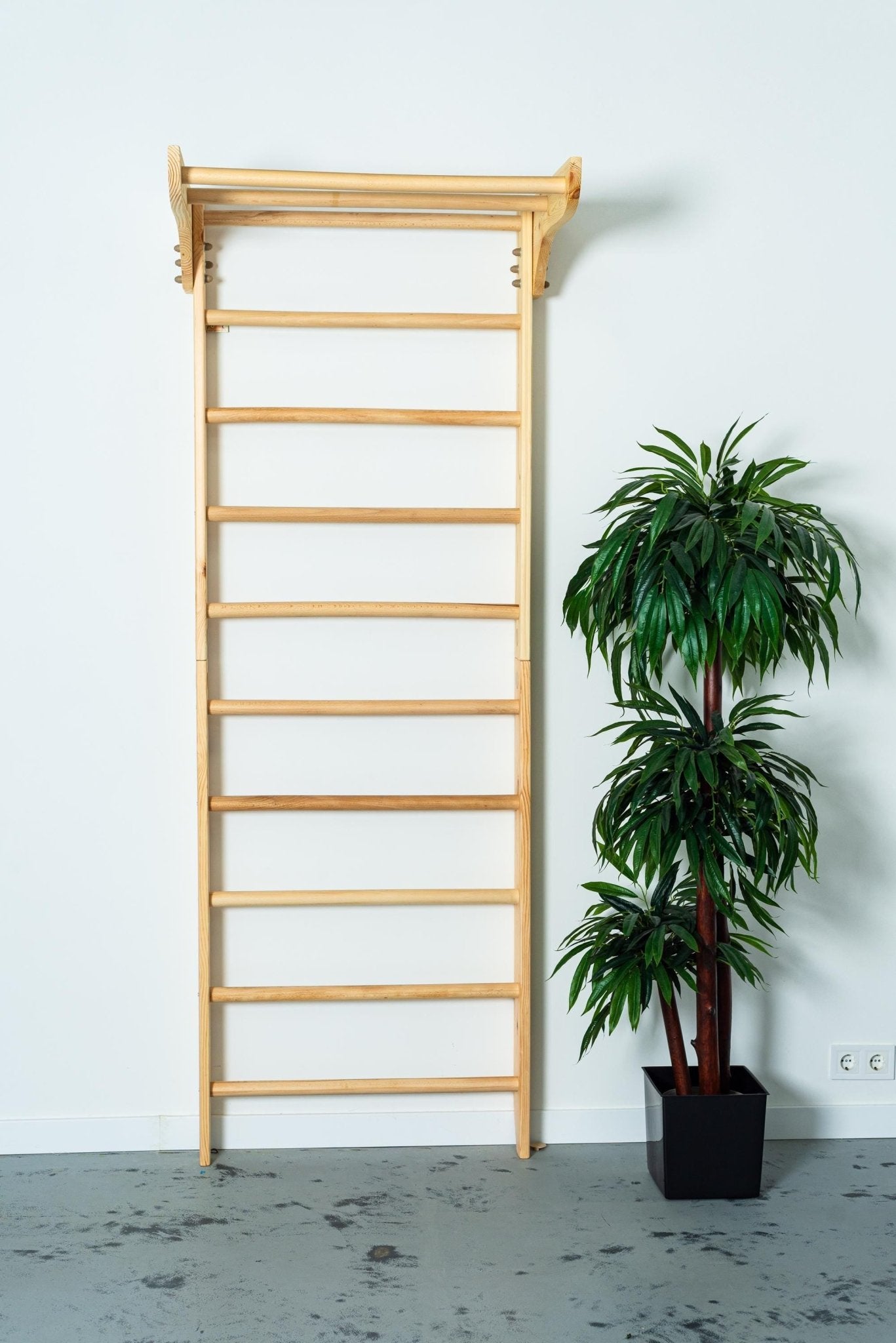 Swedish Ladder for Home Exercises with Fixed Pull Up Bar - CleverWood