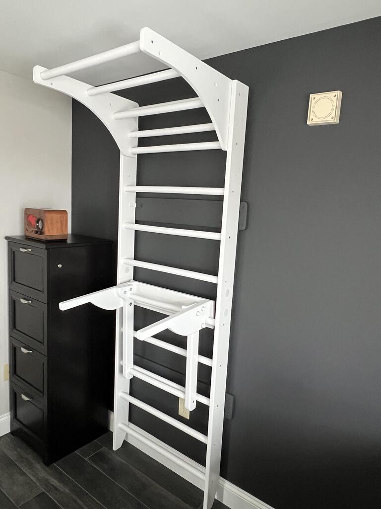 Swedish Ladder with Dip Bars and Pull Up Bar for chin up and Strength Exercises - CleverWood