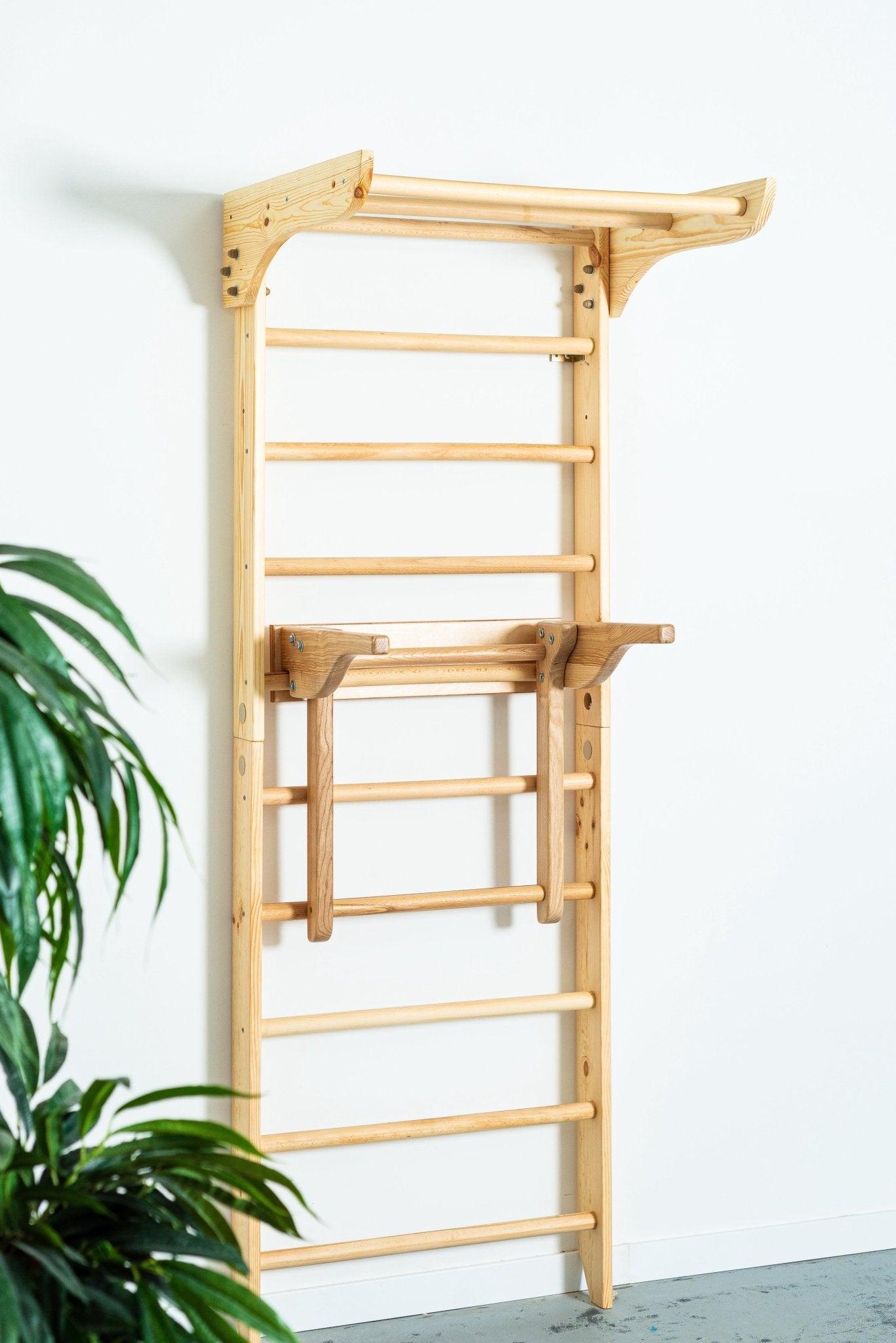 Swedish Ladder with Dip Bars and Pull Up Bar for chin up and Strength Exercises - CleverWood