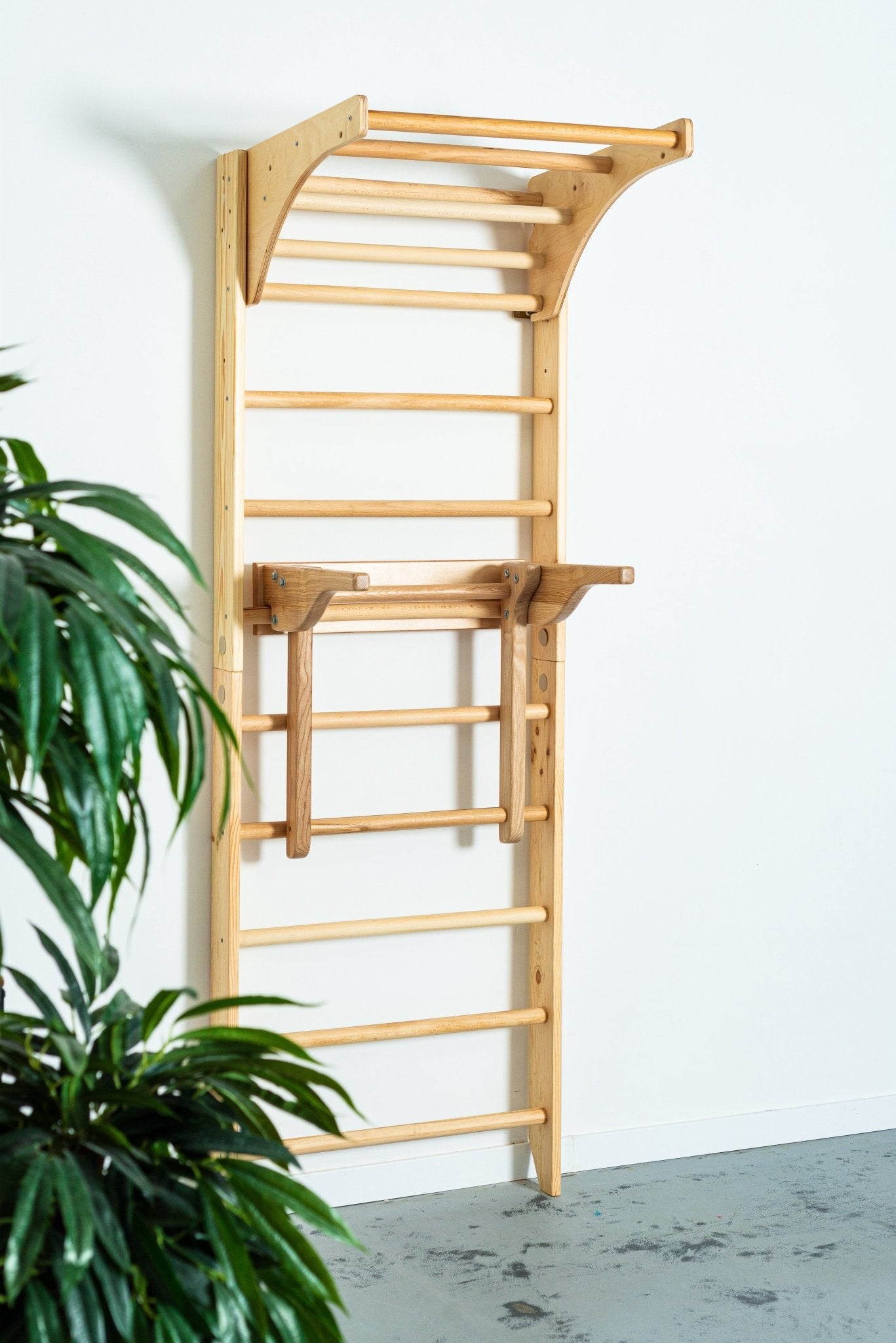 Swedish Ladder with Dip Bars and Pull Up Bar for chin up and Strength Exercises - CleverWood